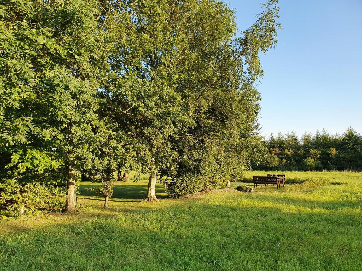 Solbjerg Skov B&B Dış mekan fotoğraf
