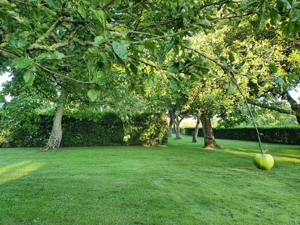Solbjerg Skov B&B Dış mekan fotoğraf